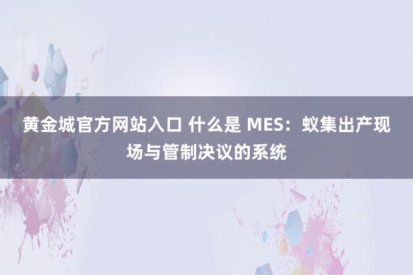 黄金城官方网站入口 什么是 MES：蚁集出产现场与管制决议的系统