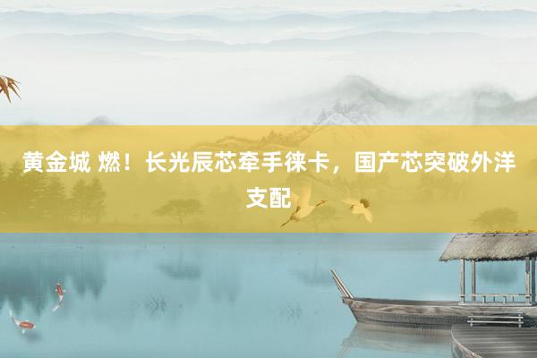 黄金城 燃！长光辰芯牵手徕卡，国产芯突破外洋支配