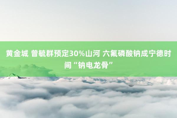 黄金城 曾毓群预定30%山河 六氟磷酸钠成宁德时间“钠电龙骨”