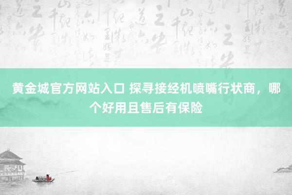 黄金城官方网站入口 探寻接经机喷嘴行状商，哪个好用且售后有保险
