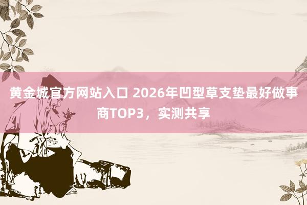 黄金城官方网站入口 2026年凹型草支垫最好做事商TOP3，实测共享