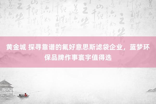 黄金城 探寻靠谱的氟好意思斯滤袋企业，蓝梦环保品牌作事寰宇值得选