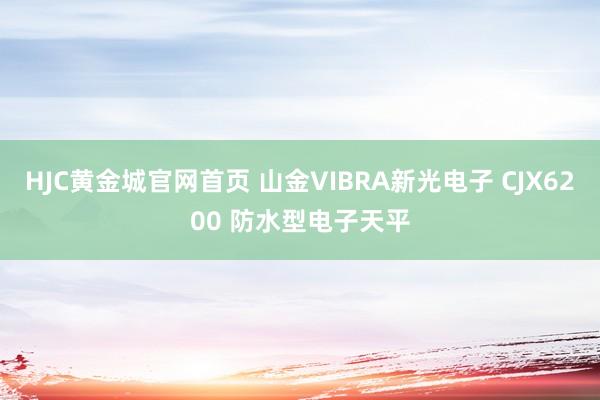 HJC黄金城官网首页 山金VIBRA新光电子 CJX6200 防水型电子天平