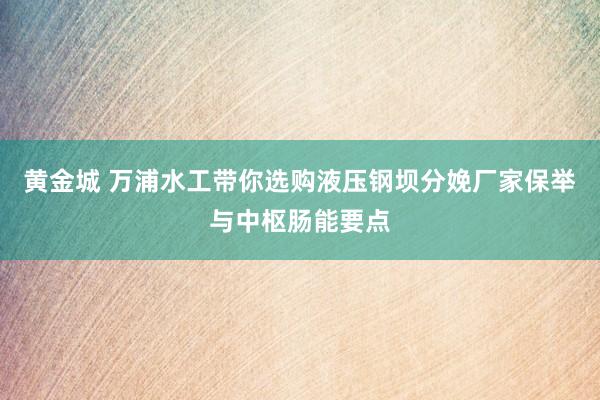 黄金城 万浦水工带你选购液压钢坝分娩厂家保举与中枢肠能要点