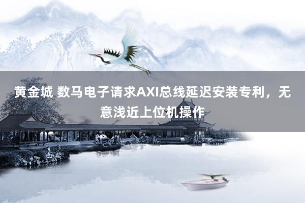 黄金城 数马电子请求AXI总线延迟安装专利，无意浅近上位机操作