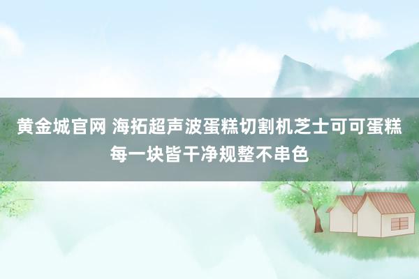 黄金城官网 海拓超声波蛋糕切割机芝士可可蛋糕每一块皆干净规整不串色