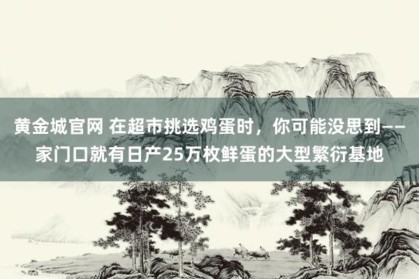 黄金城官网 在超市挑选鸡蛋时，你可能没思到——家门口就有日产25万枚鲜蛋的大型繁衍基地