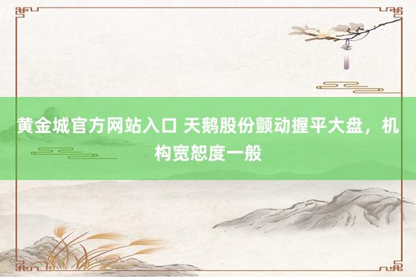 黄金城官方网站入口 天鹅股份颤动握平大盘，机构宽恕度一般