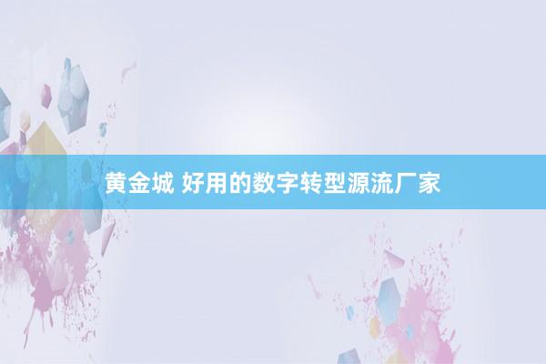 黄金城 好用的数字转型源流厂家