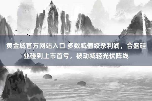 黄金城官方网站入口 多数减值绞杀利润，合盛硅业碰到上市首亏，被动减轻光伏阵线