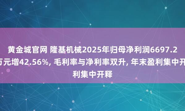 黄金城官网 隆基机械2025年归母净利润6697.27万元增42.56%, 毛利率与净利率双升, 年末盈利集中开释