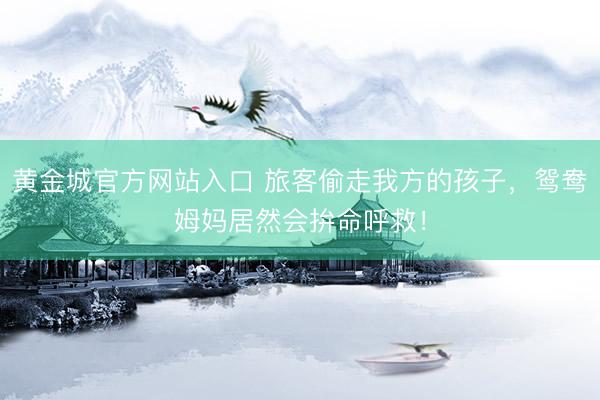 黄金城官方网站入口 旅客偷走我方的孩子，鸳鸯姆妈居然会拚命呼救！
